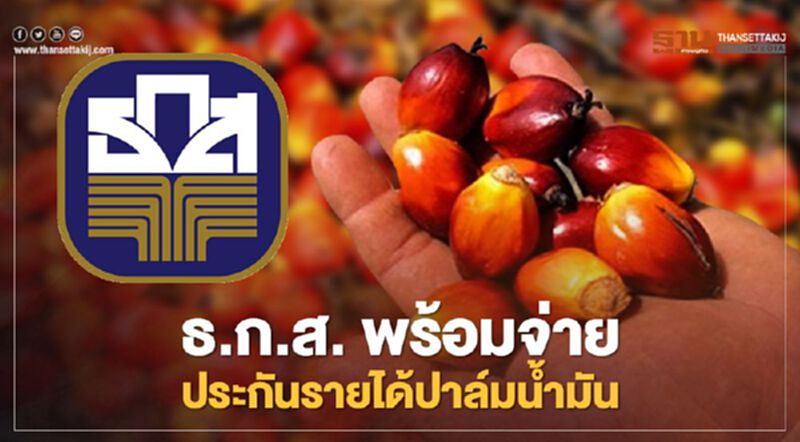 อัพเดท "ประกันรายได้" ปาล์มน้ำมัน ธ.ก.ส. พร้อมจ่ายชาวสวนปาล์ม 3.7 แสนราย อัพเดท "ประกันรายได้" ปาล์มน้ำมัน ธ.ก.ส. พร้อมจ่ายชาวสวนปาล์ม 3.7 แสนราย
