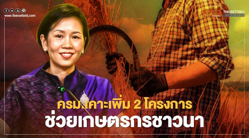 ชาวนาได้เฮ! ครม.เพิ่มงบ "ประกันรายได้ชาวนา-ชะลอสินเชื่อขายข้าวเปลือกนาปี" ชาวนาได้เฮ! ครม.เพิ่มงบ "ประกันรายได้ชาวนา-ชะลอสินเชื่อขายข้าวเปลือกนาปี"