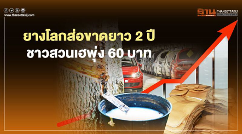รถยนต์ฟื้น-ถุงมือไปต่อ ยางโลกส่อขาดยาว 2 ปี ชาวสวนเฮพุ่ง 60 บาท รถยนต์ฟื้น-ถุงมือไปต่อ ยางโลกส่อขาดยาว 2 ปี ชาวสวนเฮพุ่ง 60 บาท