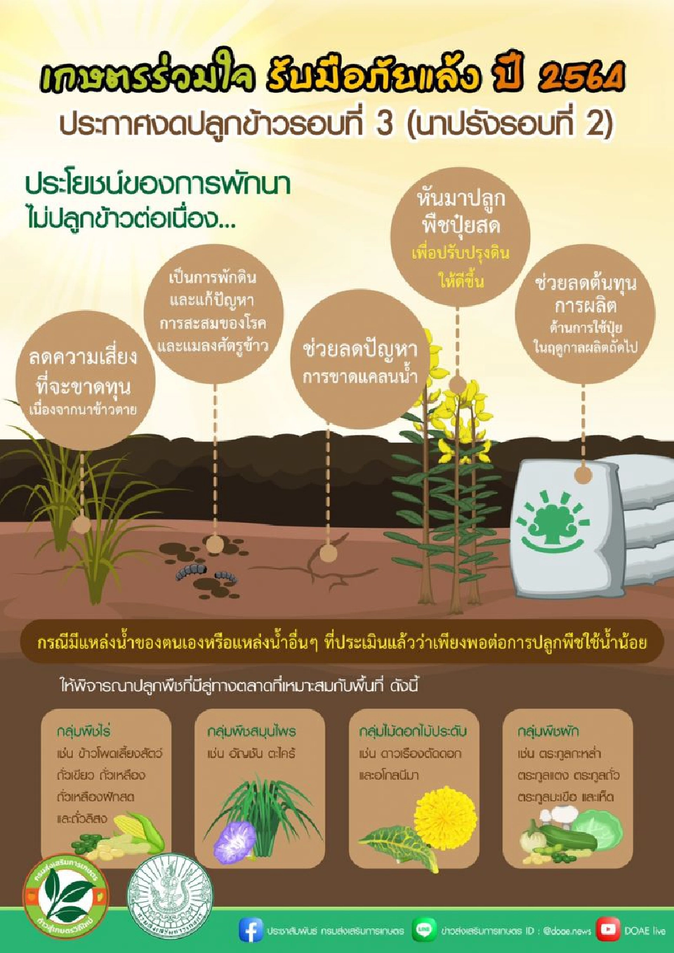 เตือน 14 จังหวัดลุ่มเจ้าพระยา งดปลูกข้าวรอบ3-เสี่ยงเสียหายสิ้นเชิง