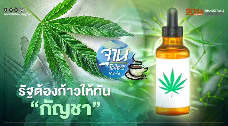 รัฐต้องก้าวให้ทัน “กัญชา”