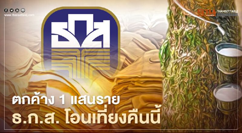เช็กเลย! "ประกันรายได้ยาง" ตกค้าง 1 แสนราย โอนเที่ยงคืนนี้ เช็กเลย! "ประกันรายได้ยาง" ตกค้าง 1 แสนราย โอนเที่ยงคืนนี้