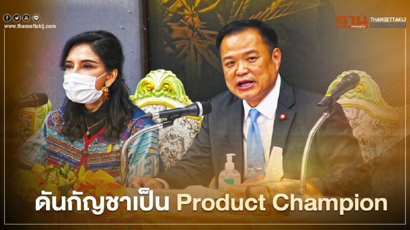 สธ.ดันกัญชาเป็น Product Champion ยกระดับสู่อุตสาหกรรมสุขภาพ