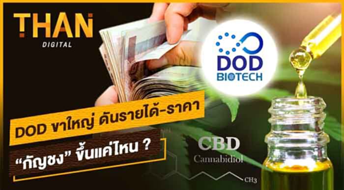 DOD ขาใหญ่ ดันรายได้-ราคา "กัญชง" ขึ้นแค่ไหน ? DOD ขาใหญ่ ดันรายได้-ราคา "กัญชง" ขึ้นแค่ไหน ?