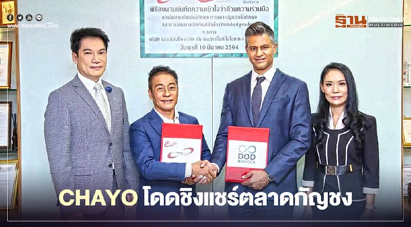CHAYO โดดชิงแชร์ตลาดกัญชง CHAYO โดดชิงแชร์ตลาดกัญชง