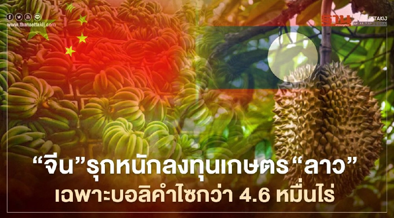 “จีน”รุกหนักลงทุนเกษตร “ลาว” เฉพาะบอลิคำไซกว่า 4.6 หมื่นไร่ “จีน”รุกหนักลงทุนเกษตร “ลาว” เฉพาะบอลิคำไซกว่า 4.6 หมื่นไร่