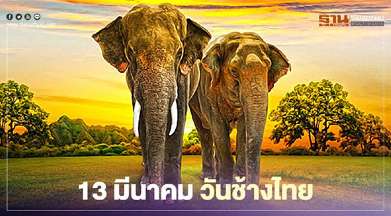 เปิดที่มา "13 มีนาคม วันช้างไทย" เปิดที่มา "13 มีนาคม วันช้างไทย"