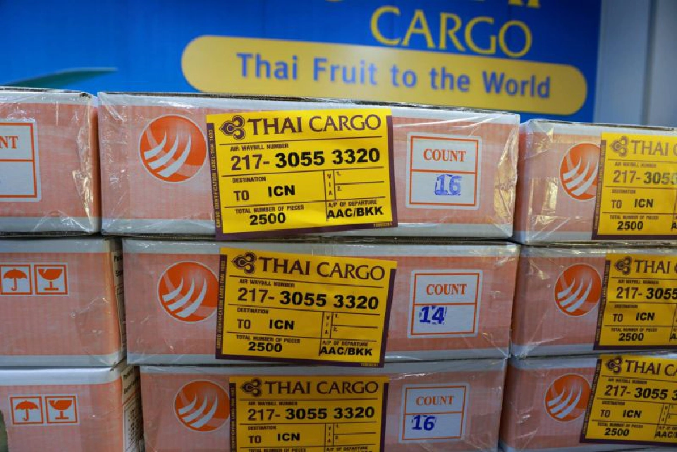 การบินไทย ส่ง“มะม่วง” ตีตลาดเกาหลี