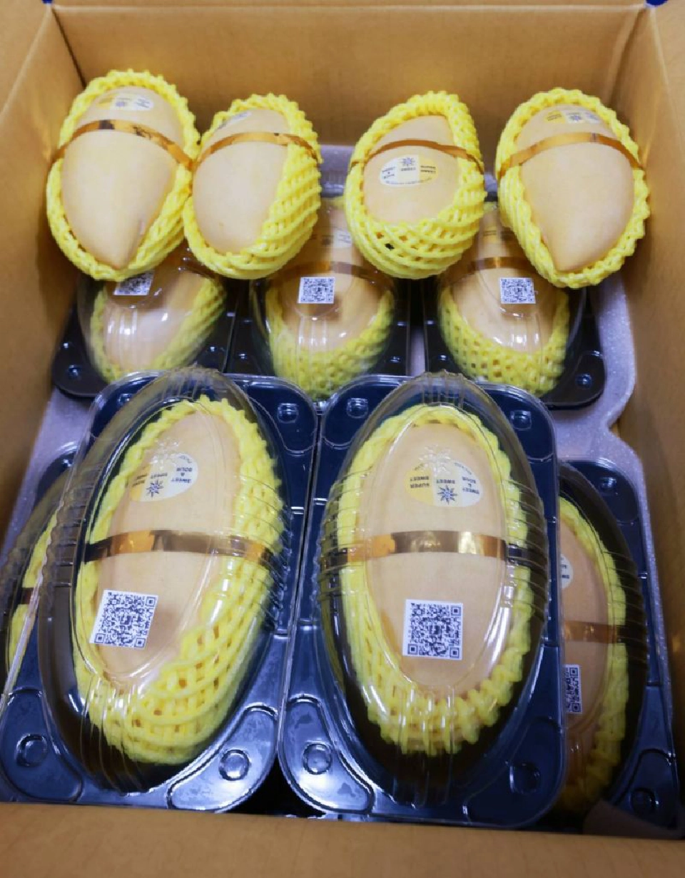 การบินไทย ส่ง“มะม่วง” ตีตลาดเกาหลี