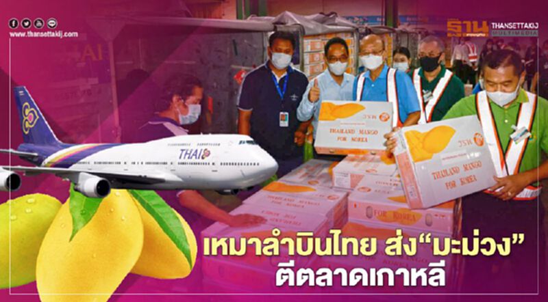 เหมาลำบินไทย ส่ง“มะม่วง” ตีตลาดเกาหลี เหมาลำบินไทย ส่ง“มะม่วง” ตีตลาดเกาหลี