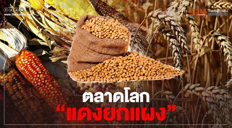 จีนขยับ “ข้าวโพด-ถั่วเหลือง-ข้าวสาลี” ตลาดโลก แดงยกแผง จีนขยับ “ข้าวโพด-ถั่วเหลือง-ข้าวสาลี” ตลาดโลก แดงยกแผง