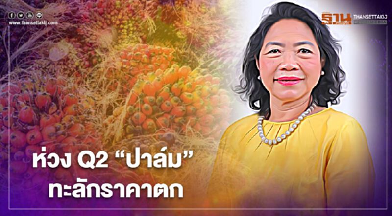 ห่วง Q2 “ปาล์ม” ทะลักราคาตก ห่วง Q2 “ปาล์ม” ทะลักราคาตก