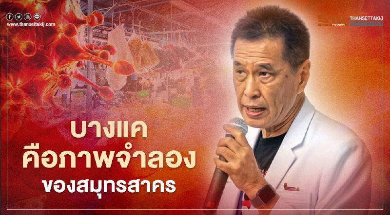 บางแคภาพจำลองสมุทรสาคร หมอธีระวัฒน์แนะก้าวข้ามตรวจเชิงรุกแบบแยงจมูก
