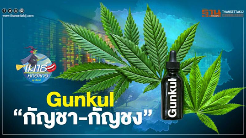 Gunkul ‘กัญชา-กัญชง’ Gunkul ‘กัญชา-กัญชง’