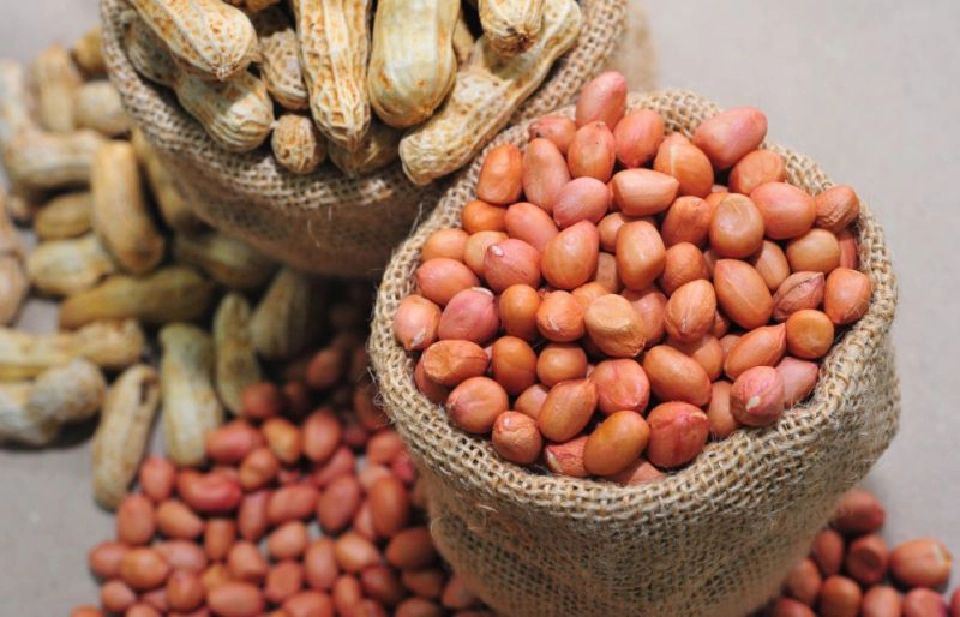 “พาณิชย์” เปิดรับฟังความเห็น   ยกเลิกพ.ร.ฎ.ควบคุมส่งออกกากถั่ว