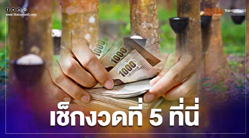 ตรวจสอบเงินประกันรายได้เกษตรกร จ่ายส่วนต่าง "ประกันราคายางพารา" งวด 5