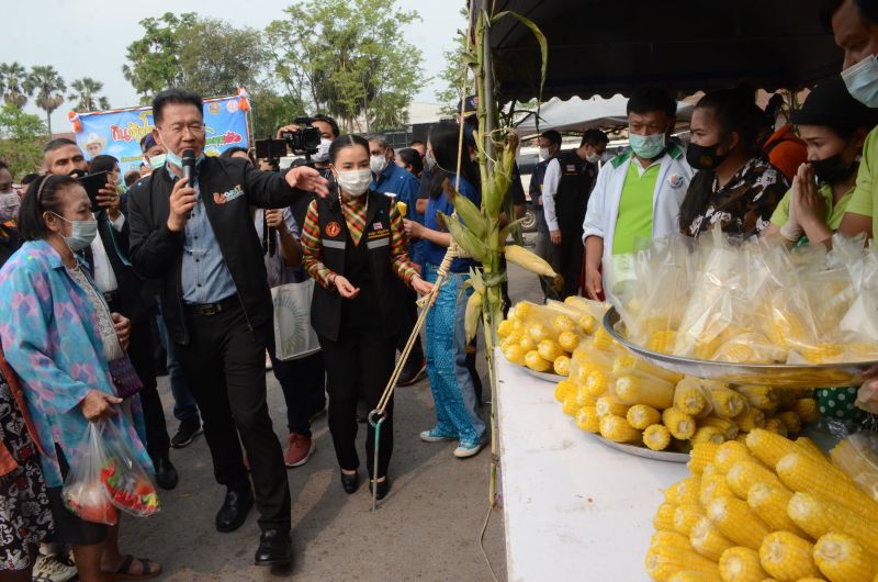 บรรยากาศงานวันกินข้าวโพดหวาน ช่วยเกษตรกรโคราดเด้อที่หน้าศาลากลางจังหวัด