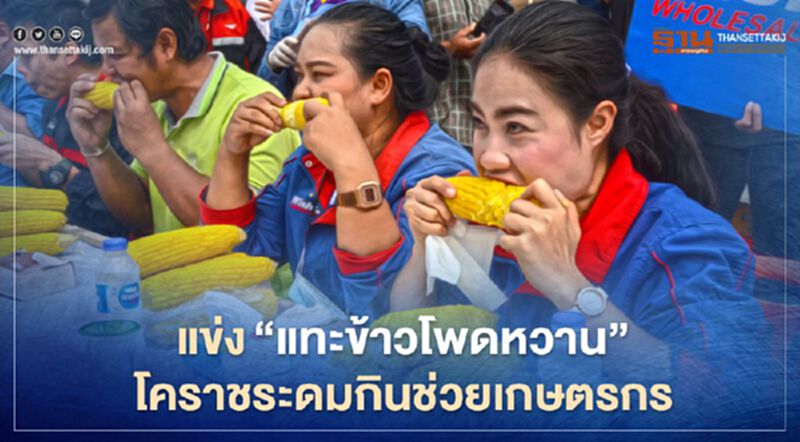 แข่ง"แทะข้าวโพดหวาน"โคราชระดมกินช่วยเกษตรกร แข่ง"แทะข้าวโพดหวาน"โคราชระดมกินช่วยเกษตรกร