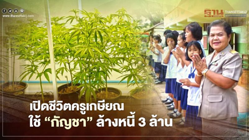 เปิดชีวิตครูเกษียณ ก้าวสู่เกษตรกร ใช้ “กัญชา” ล้างหนี้ 3 ล้าน เปิดชีวิตครูเกษียณ ก้าวสู่เกษตรกร ใช้ “กัญชา” ล้างหนี้ 3 ล้าน