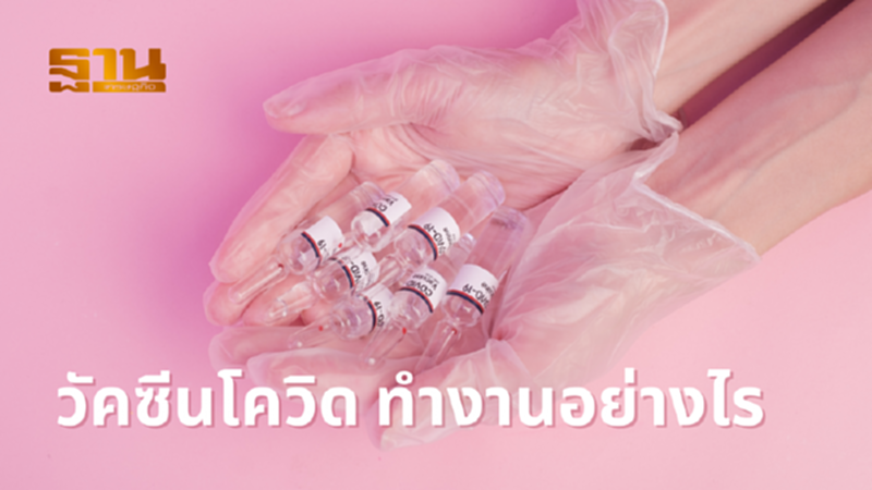 วัคซีนโควิด-19 ทำงานอย่างไร? ฉีดดีไหม? วัคซีนโควิด-19 ทำงานอย่างไร? ฉีดดีไหม?