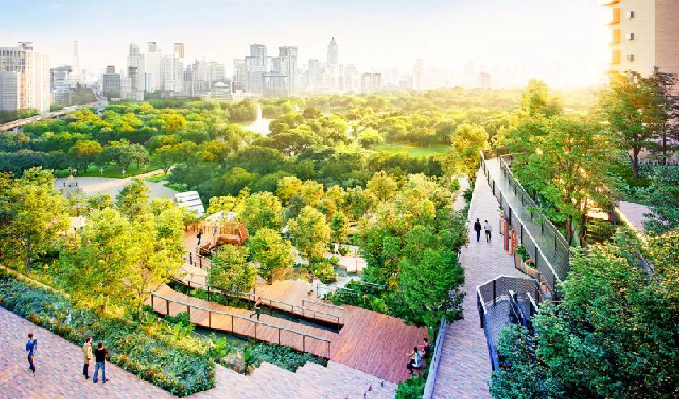 ลด PM2.5 เราทุกคนช่วยกันได้แนะ“ปลูกต้นไม้”ดักฝุ่น