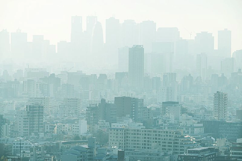 ลด PM2.5 เราทุกคนช่วยกันได้แนะ“ปลูกต้นไม้”ดักฝุ่น