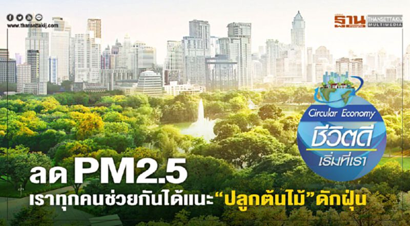 ลด PM2.5 เราทุกคนช่วยกันได้แนะ“ปลูกต้นไม้”ดักฝุ่น ลด PM2.5 เราทุกคนช่วยกันได้แนะ“ปลูกต้นไม้”ดักฝุ่น
