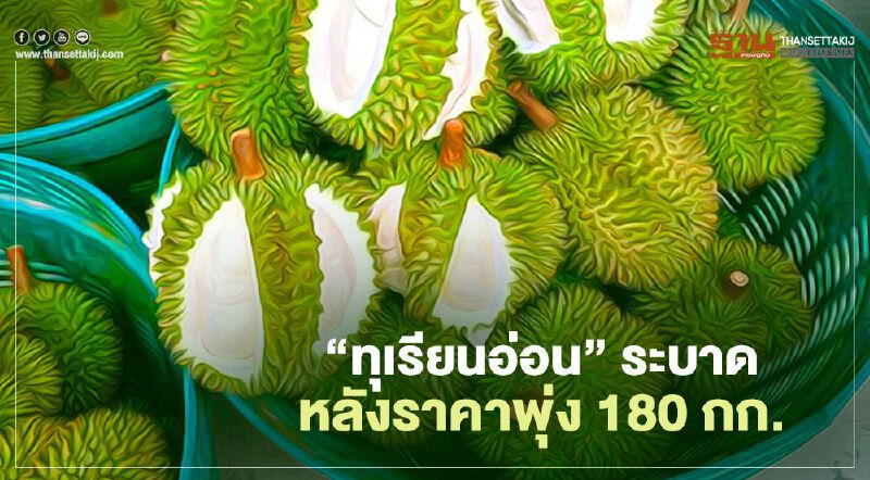 “ทุเรียนอ่อน” ระบาด หลัง ราคาพุ่ง 180 กก. “ทุเรียนอ่อน” ระบาด หลัง ราคาพุ่ง 180 กก.