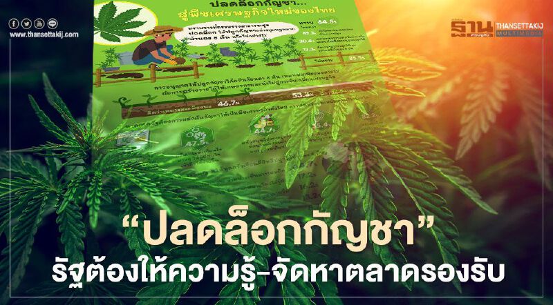 “ปลดล็อกกัญชา"...รัฐต้องให้ความรู้ - จัดหาตลาดรองรับ ผลักดันสู่พืชเศรษฐกิจ