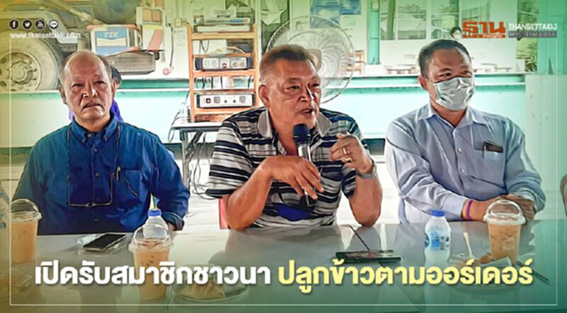 เปิดรับสมาชิกชาวนา ปลูกข้าวตามออร์เดอร์ เปิดรับสมาชิกชาวนา ปลูกข้าวตามออร์เดอร์