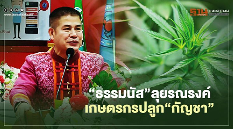 “ธรรมนัส”ลุยรณรงค์เกษตรกรปลูก”กัญชา”ผลิตยาสมุนไพร “ธรรมนัส”ลุยรณรงค์เกษตรกรปลูก”กัญชา”ผลิตยาสมุนไพร