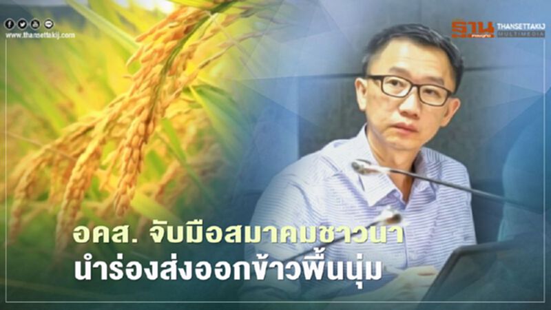 อคส. จับมือสมาคมชาวนา นำร่องส่งออกข้าวพื้นนุ่ม อคส. จับมือสมาคมชาวนา นำร่องส่งออกข้าวพื้นนุ่ม