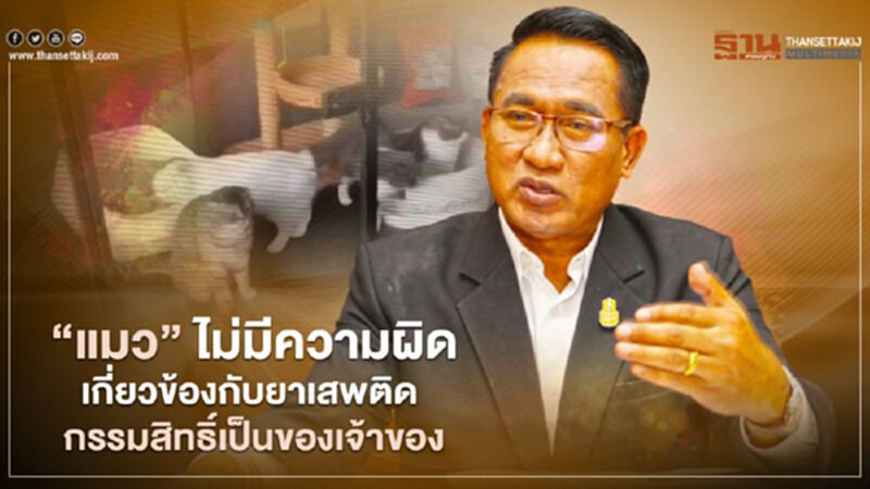 อธิบดีกรมปศุสัตว์ เคลียร์ “แมว” ไม่มีความผิดเกี่ยวข้องกับยาเสพติด กรรมสิทธิ์เป็นของเจ้าของ อธิบดีกรมปศุสัตว์ เคลียร์ “แมว” ไม่มีความผิดเกี่ยวข้องกับยาเสพติด กรรมสิทธิ์เป็นของเจ้าของ