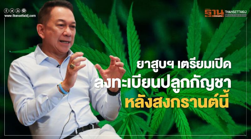 ยสท.เตรียมเปิดลงทะเบียนปลูกกัญชา หลังสงกรานต์นี้ 