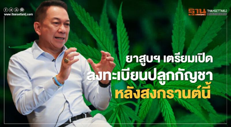 ยสท.เตรียมเปิดลงทะเบียนปลูกกัญชา หลังสงกรานต์นี้ ยสท.เตรียมเปิดลงทะเบียนปลูกกัญชา หลังสงกรานต์นี้