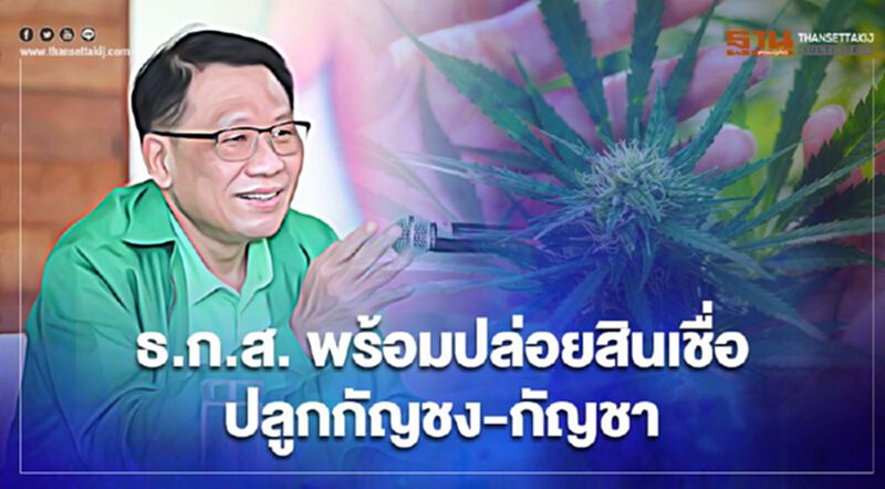 ธ.ก.ส. พร้อมปล่อยสินเชื่อปลูกกัญชง-กัญชา ธ.ก.ส. พร้อมปล่อยสินเชื่อปลูกกัญชง-กัญชา