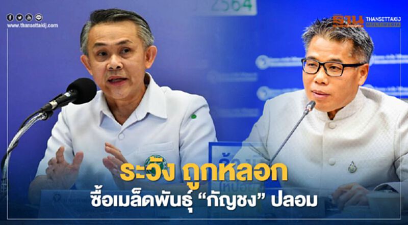 ระวัง ถูกหลอกซื้อเมล็ดพันธุ์ “กัญชง” ปลอม ระวัง ถูกหลอกซื้อเมล็ดพันธุ์ “กัญชง” ปลอม
