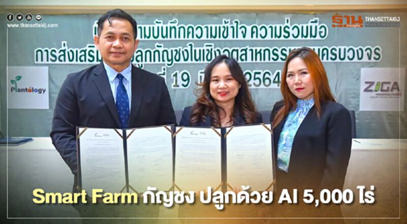Smart Farm กัญชง ZIGA ลุยเซ็นMOU ปลูกด้วย AI 5,000 ไร่ Smart Farm กัญชง ZIGA ลุยเซ็นMOU ปลูกด้วย AI 5,000 ไร่