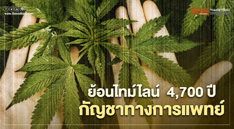 ย้อนไทม์ไลน์ 4,700 ปี กัญชาทางการแพทย์ ย้อนไทม์ไลน์ 4,700 ปี กัญชาทางการแพทย์