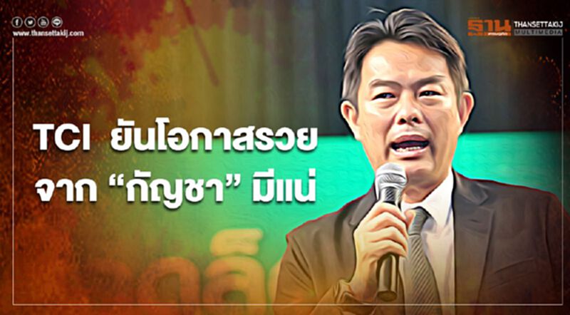 TCI ยันโอกาสรวยจาก”กัญชา”มีแน่ TCI ยันโอกาสรวยจาก”กัญชา”มีแน่