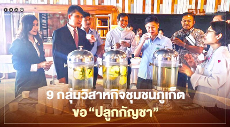 "ปลูกกัญชา"พรึบภูเก็ต9วิสาหกิจชุมชนภูเก็ตแห่จับมือรพ.สต. "ปลูกกัญชา"พรึบภูเก็ต9วิสาหกิจชุมชนภูเก็ตแห่จับมือรพ.สต.