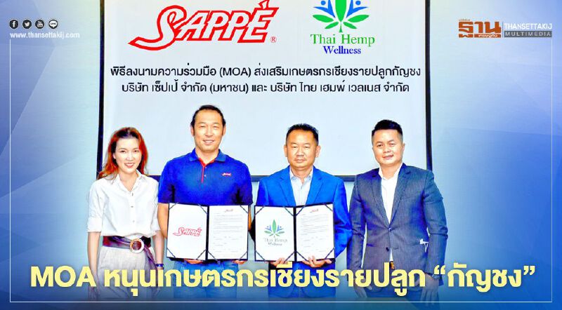 เซ็ปเป้ - ไทย เฮมพ์ฯ MOA หนุนเกษตรกรเชียงรายปลูก “กัญชง”