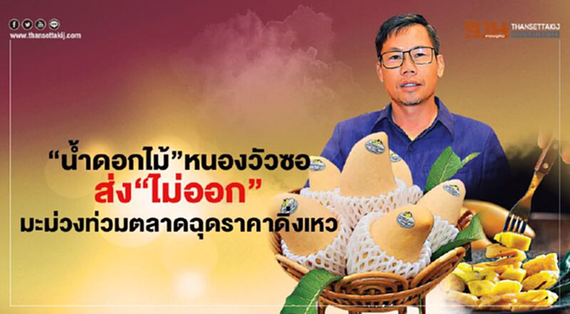 “น้ำดอกไม้”หนองวัวซอส่ง "ไม่ออก" มะม่วงท่วมตลาดฉุดราคาดิ่งเหว “น้ำดอกไม้”หนองวัวซอส่ง "ไม่ออก" มะม่วงท่วมตลาดฉุดราคาดิ่งเหว