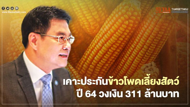เคาะประกันข้าวโพดเลี้ยงสัตว์  ปี64วงเงิน311 ล้านบาท