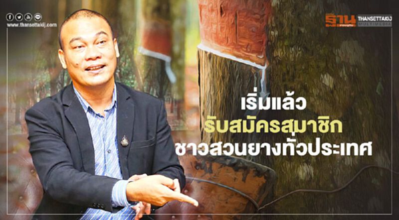 เริ่มแล้ว รับสมัครสมาชิกชาวสวนยางทั่วประเทศ เริ่มแล้ว รับสมัครสมาชิกชาวสวนยางทั่วประเทศ
