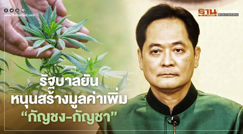 รัฐบาลยัน หนุนสร้างมูลค่าเพิ่ม ”กัญชง-กัญชา” รัฐบาลยัน หนุนสร้างมูลค่าเพิ่ม ”กัญชง-กัญชา”