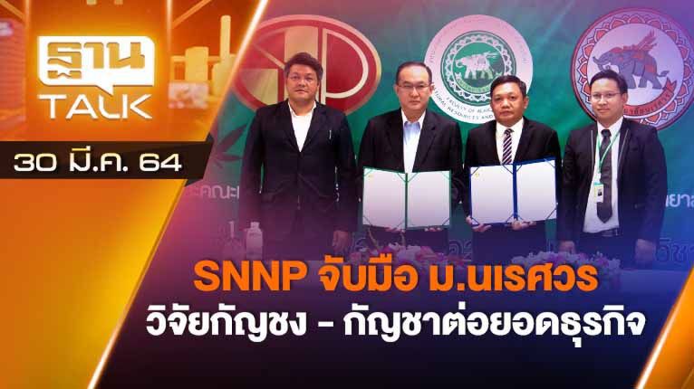 SNNP ม.นเรศวร วิจัยกัญชง-กัญชา ต่อยอดธุรกิจ | EXCLUSIVE IN BRIEF | THAN TALK | 30 มี.ค.64