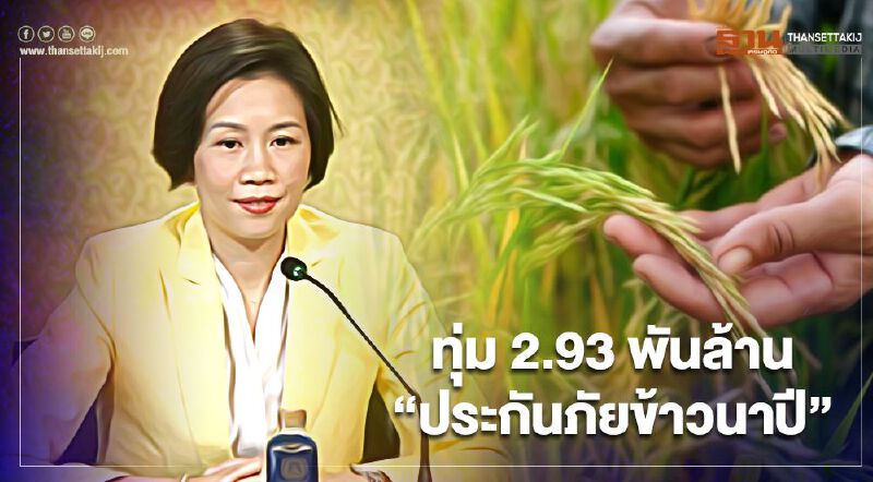ครม.ทุ่มงบ 2.93 พันล้าน เดินหน้า "ประกันภัยข้าวนาปี" คุ้มครอง 7 ภัยธรรมชาติ
