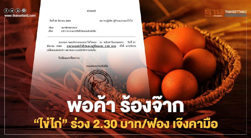 พ่อค้า ร้องจ๊าก “ไข่ไก่” ร่วง 2.30 บาท/ฟอง เจ๊งคามือ