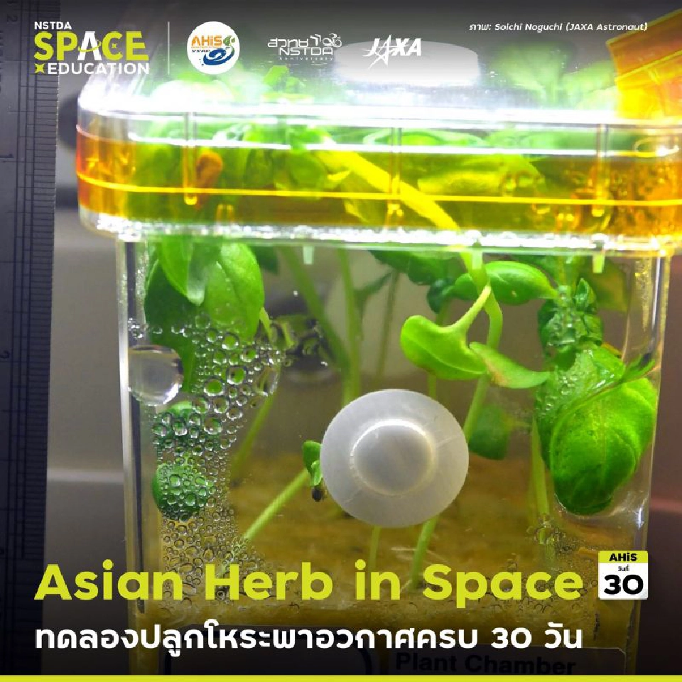 ผุดโครงการ ทดลอง "ปลูกโหระพาอวกาศ" 